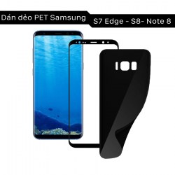 ava-dan-pet