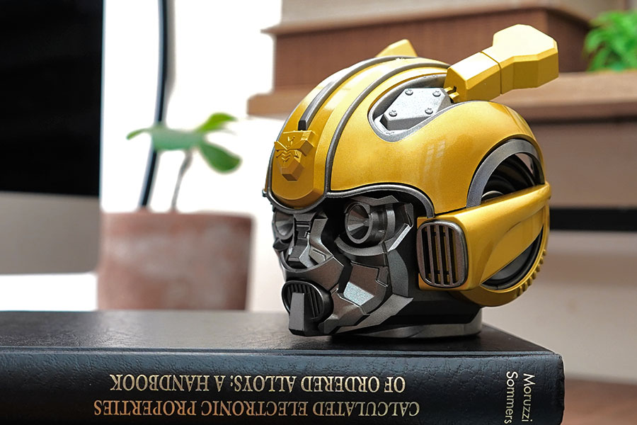 Loa-Bumblebee-Transfomer-4.jpg