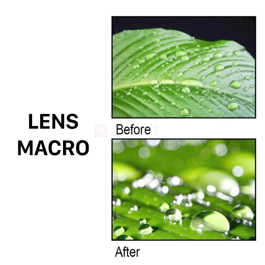 len macro.jpg