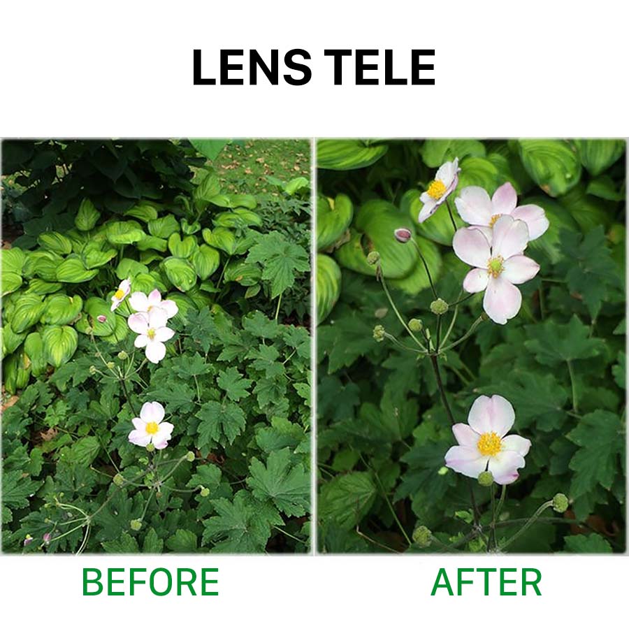 len tele.jpg