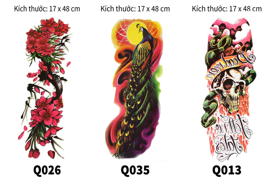 q26-q35-q13.jpg