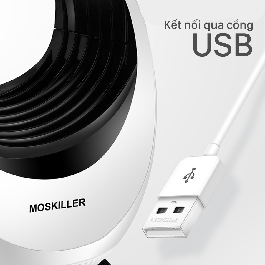 quat-bat-muoi-6.jpg